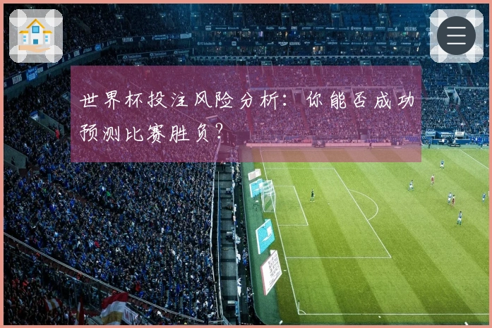 世界杯投注风险分析：你能否成功预测比赛胜负？