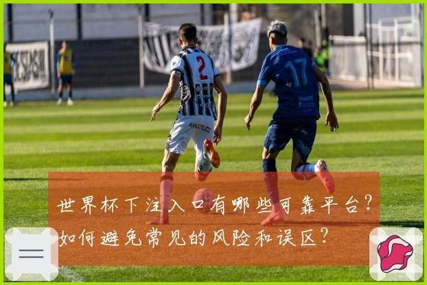 世界杯下注入口有哪些可靠平台？如何避免常见的风险和误区？
