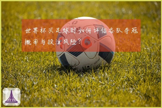 世界杯买足球时如何评估各队夺冠概率与投注风险？